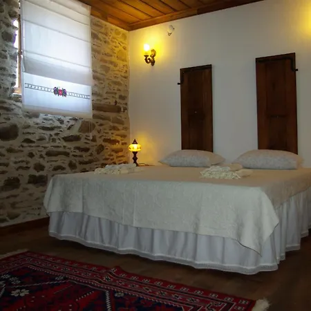 Saliha Hanim Tas Birgi