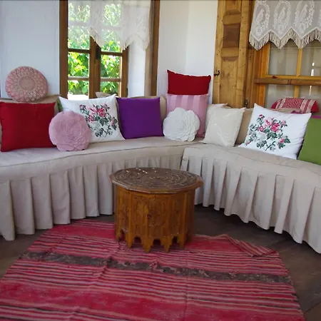 Saliha Hanim Tas Birgi