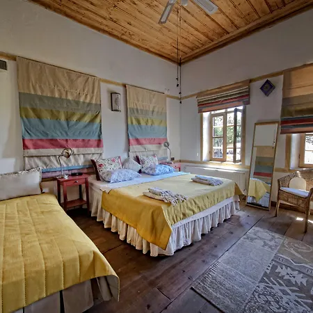 Saliha Hanim Tas 3* Birgi