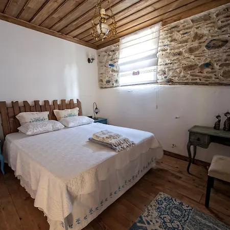 Saliha Hanim Tas Birgi