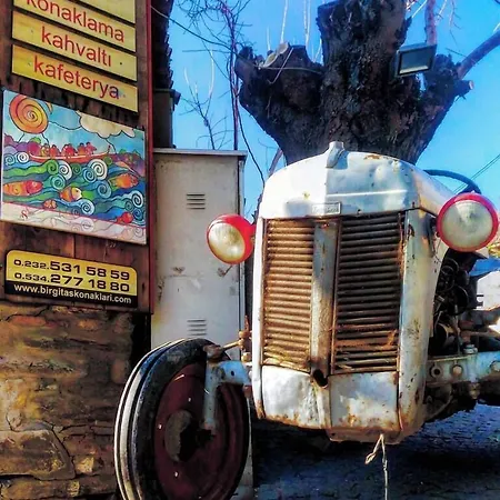 Saliha Hanim Tas Birgi