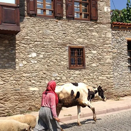 Saliha Hanim Tas Birgi