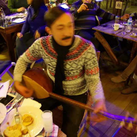 Saliha Hanim Tas Hotel Birgi