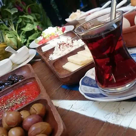 Saliha Hanim Tas Hotel Birgi