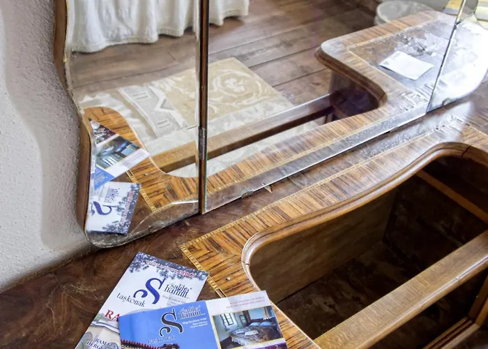 Saliha Hanim Tas Birgi