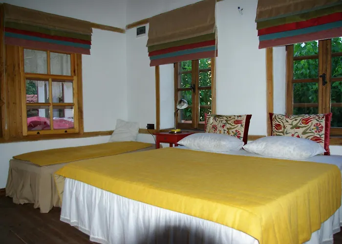 Hotell Saliha Hanim Tas Birgi