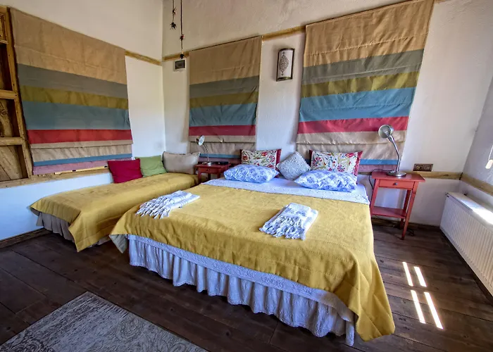 Saliha Hanim Tas Birgi