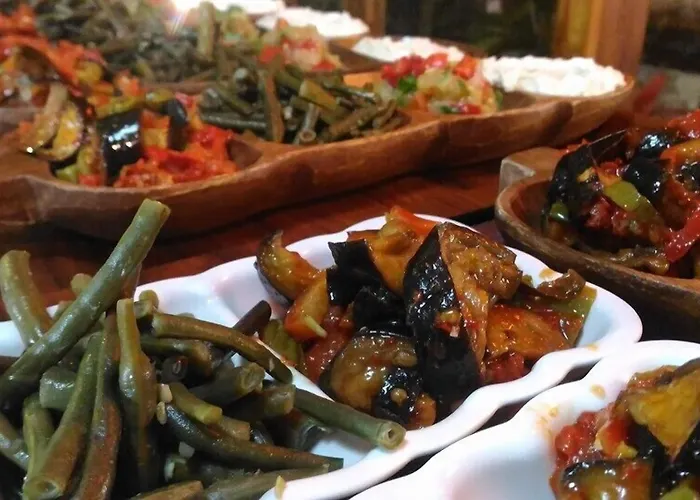 Saliha Hanim Tas Birgi