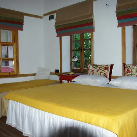 Hotel Saliha Hanim Tas Birgi