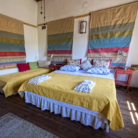 Saliha Hanim Tas Birgi