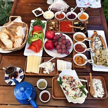 Saliha Hanim Tas Hotell Birgi