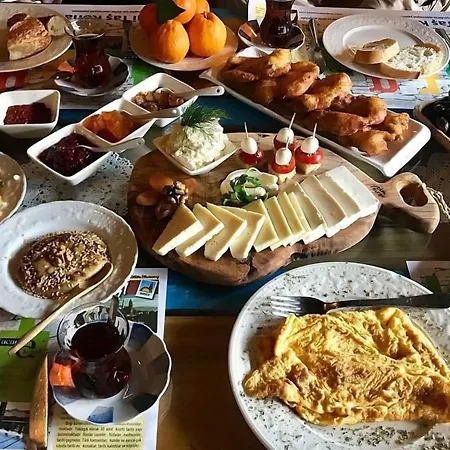 Saliha Hanim Tas Hotell