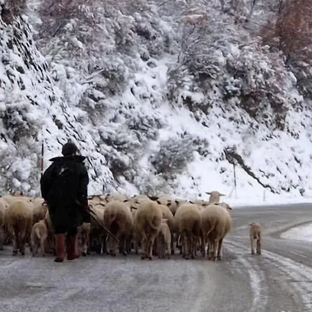 Saliha Hanim Tas Hotell Birgi