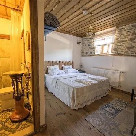 Saliha Hanim Tas Birgi