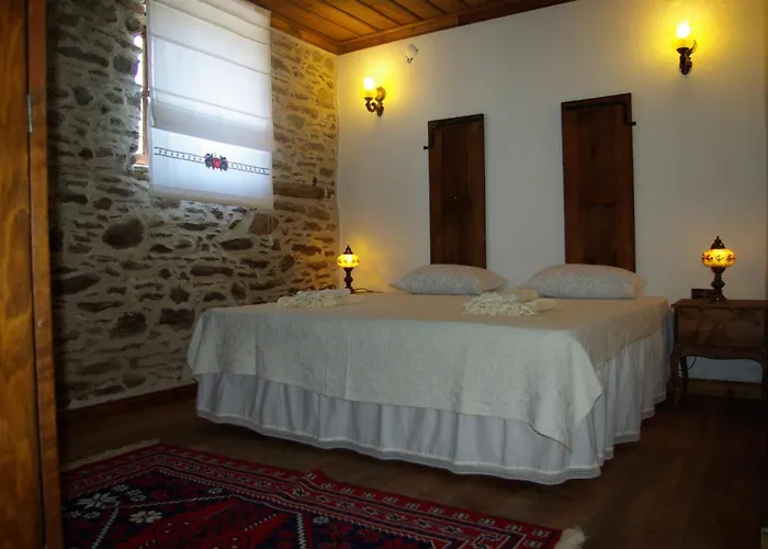 Saliha Hanim Tas Birgi