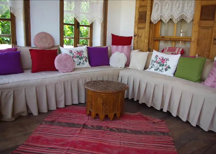 Saliha Hanim Tas Birgi