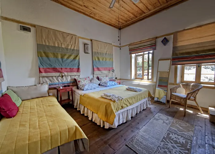 Saliha Hanim Tas 3* Birgi