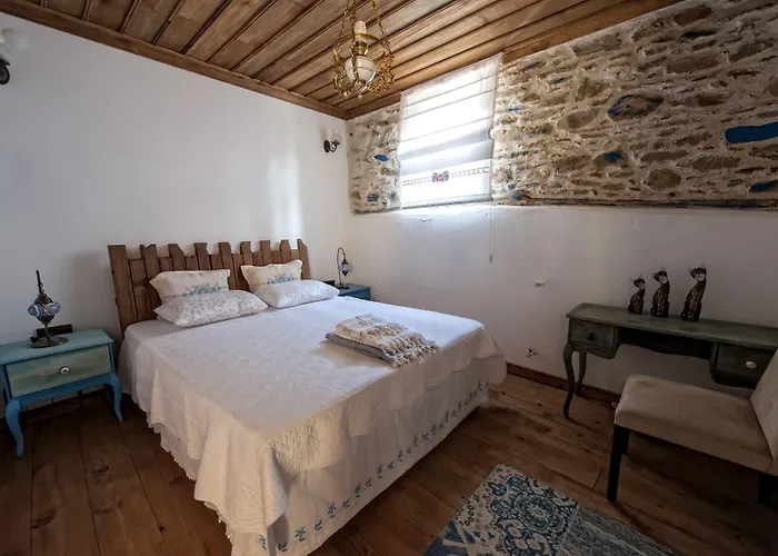 Saliha Hanim Tas Birgi