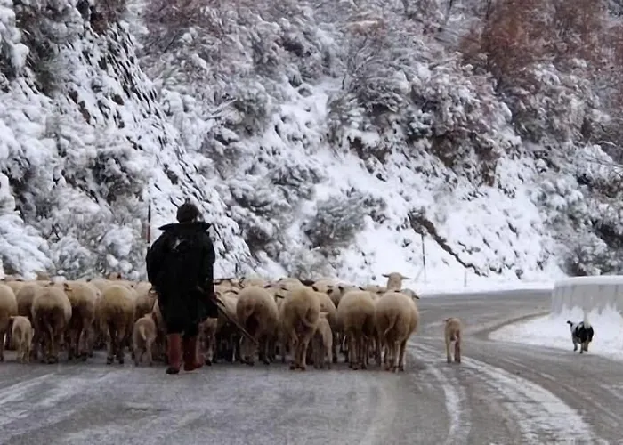 Saliha Hanim Tas Hotel Birgi
