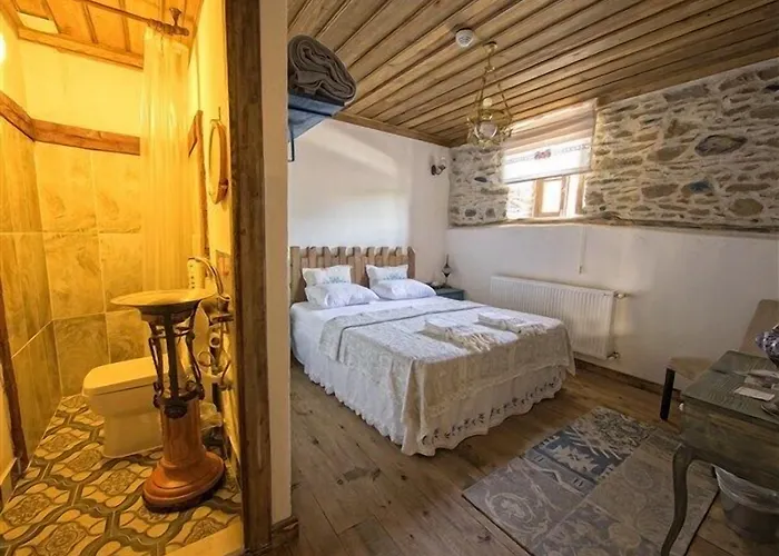 Saliha Hanim Tas Birgi