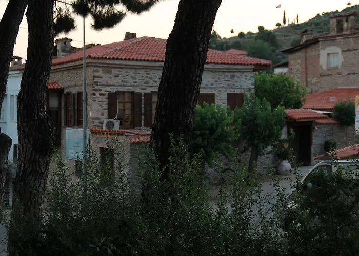 Saliha Hanim Tas Birgi