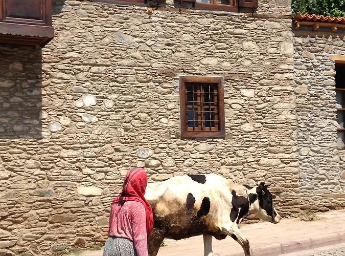 Saliha Hanim Tas Birgi